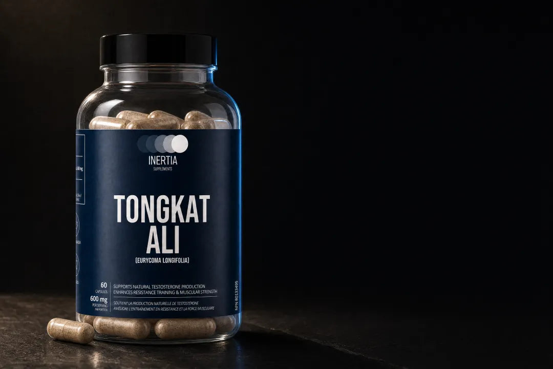 Inertia Tongkat Ali bottle in a calm daily setting